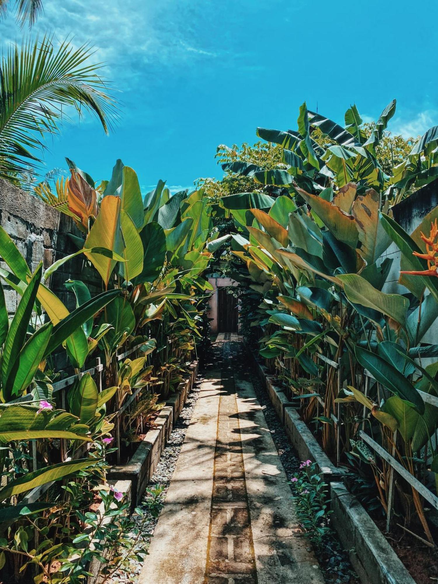 Basa-Basi Lodge Karimunjawa Exterior photo